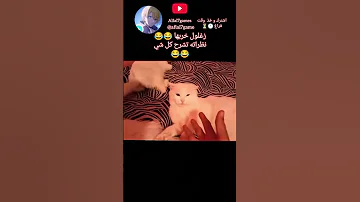 زغلول خريبها ميمز اكسبلور لايك ضحك لايك دعمكم Memes Funny 