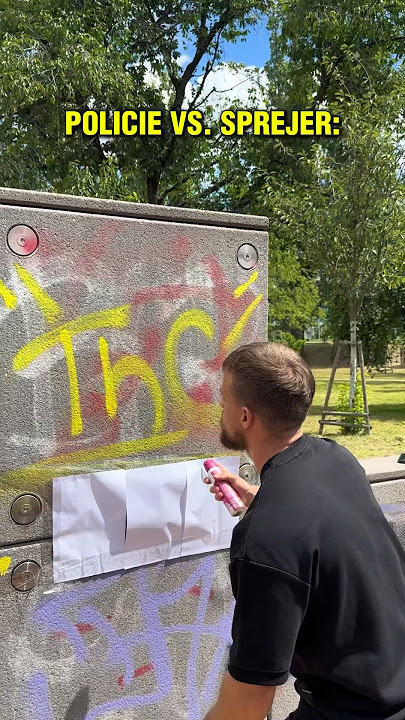 Policie vs Sprejer