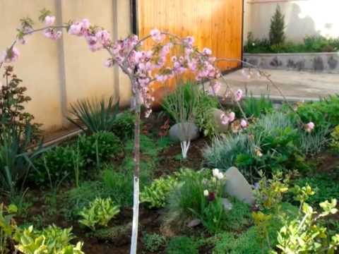 ახალი ორსართულიანი სახლი