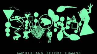 Phyllomedusa - Untitled