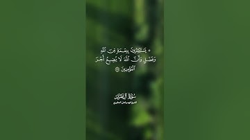 ما تيسر من سورة آل عمران - فهد واصل المطيري