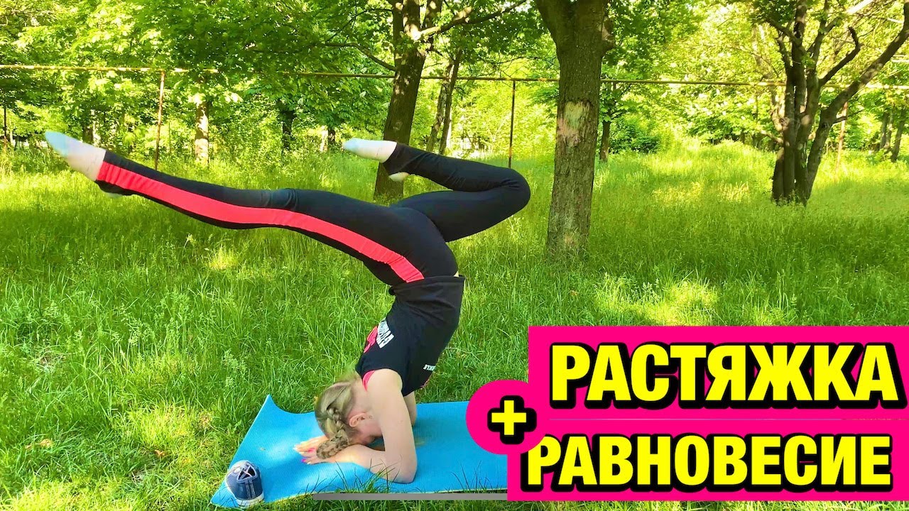 ������ ����-���������: ����.