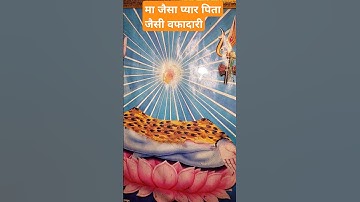 मां जैसा प्यार पिता जैसी वफादारी महादेव जैसा साथ...#pandit_pradeep_ji_mishra #vitthlesh_seva_samiti