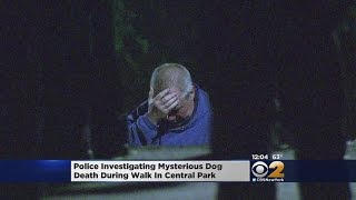 What Killed Duke The Dog?