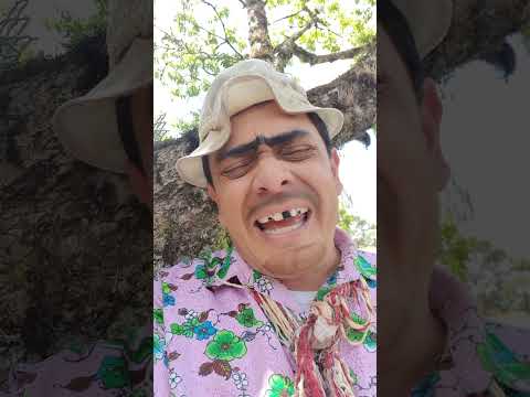 MARTES DE SEAMOS HONESTOS