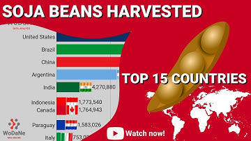 TOP 15 countries by Soja beans harvested