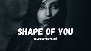Shape of you (slowed and reverb) | shap of you #shapofyou