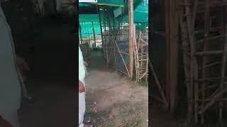 Modern Plant Nursery
