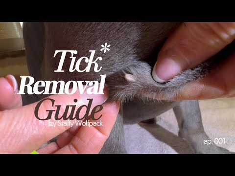 How to Safely