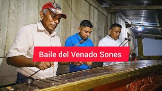 Baile del venado, Son contrabando. Cultura QEQCHI 