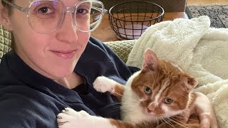 Why I Share My Cats With You Every Day 
