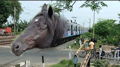 ANGRY Mad HORSE Headed EMU Local Train Dangerous & Furious Moving Throughout Railgate