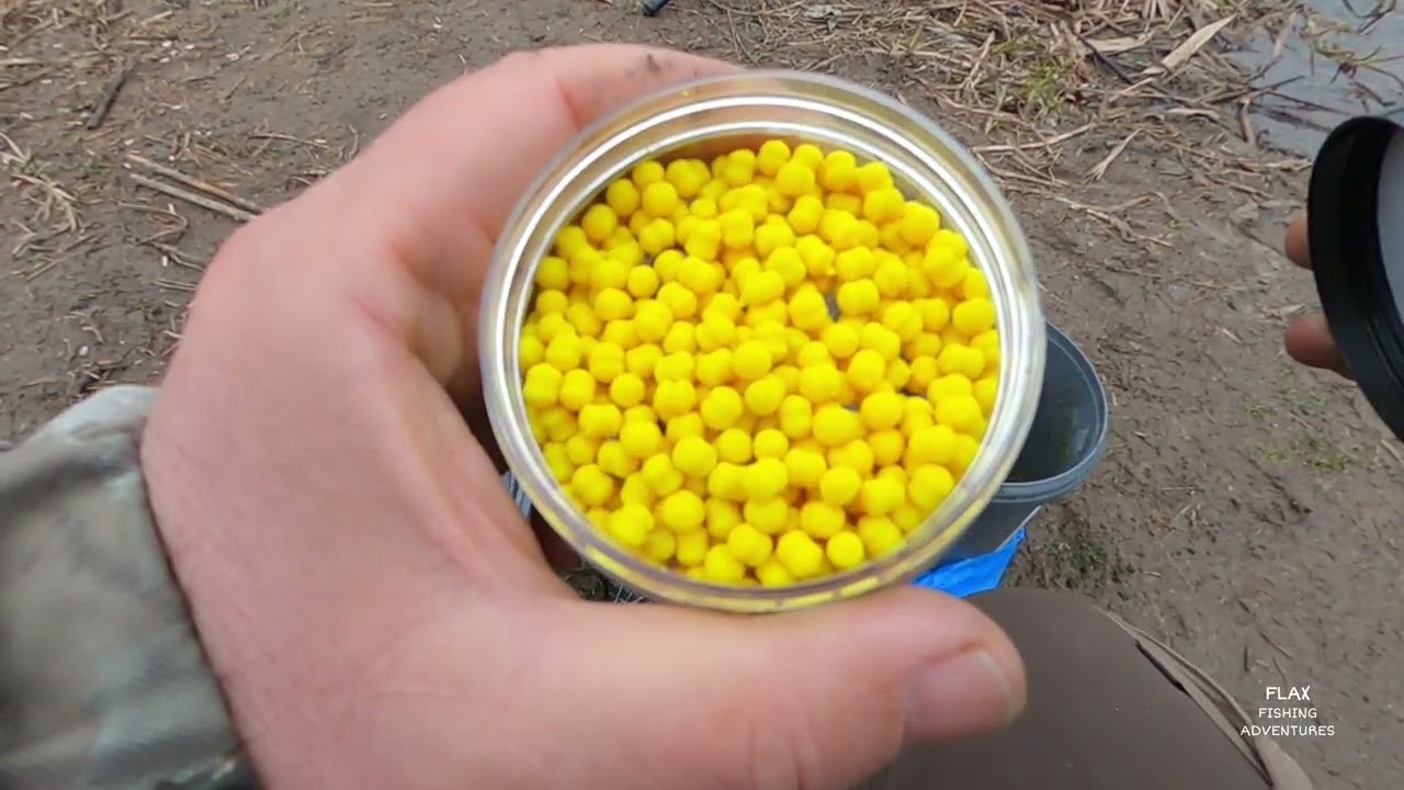 Caras de Bega. Început promițător, dar m-a învins viitura...