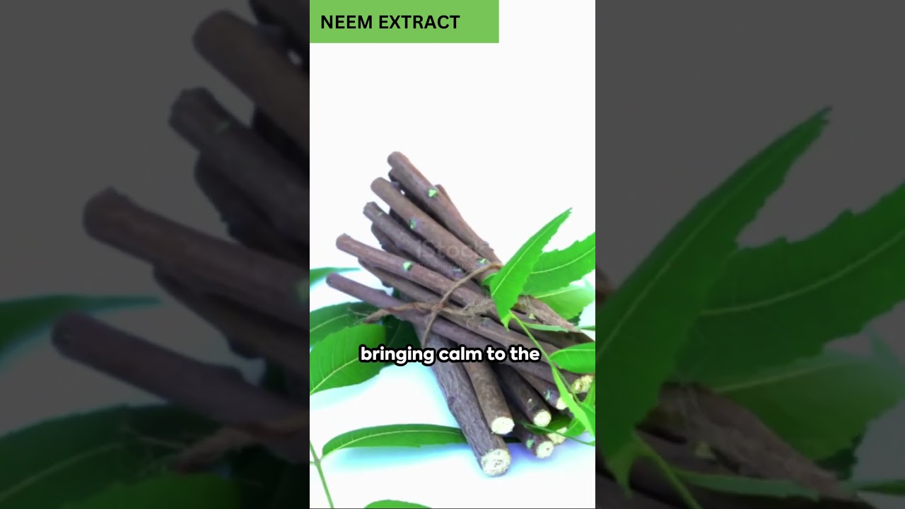 What is neem extract good for?
