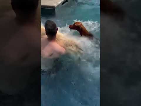 Puppy pool party!!!