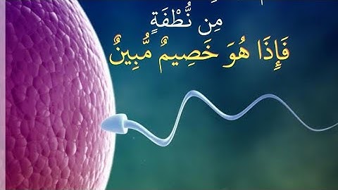 سورة يس(55:83) وامتازوا اليوم أيها المجرمون