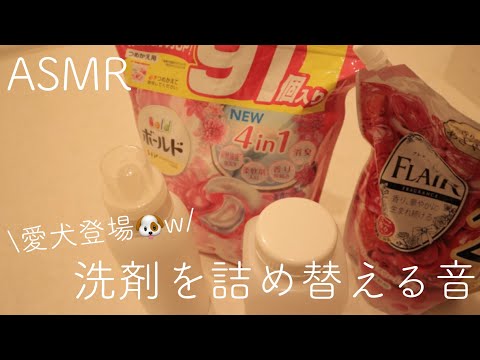 【ASMR】洗剤を詰め替える音/ジェルボール/柔軟剤/愛犬が水を飲む音(笑)【音フェチ】