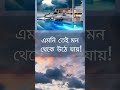 দায়িত্ব ঘাড়ে চাপলেশখ আর বিলাসিতা