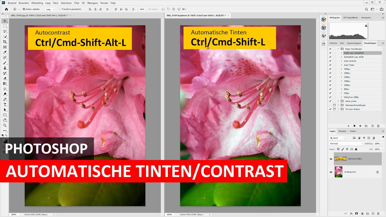 Update New Photoshop | Autocontrast en Automatische Tinten (Dutch)