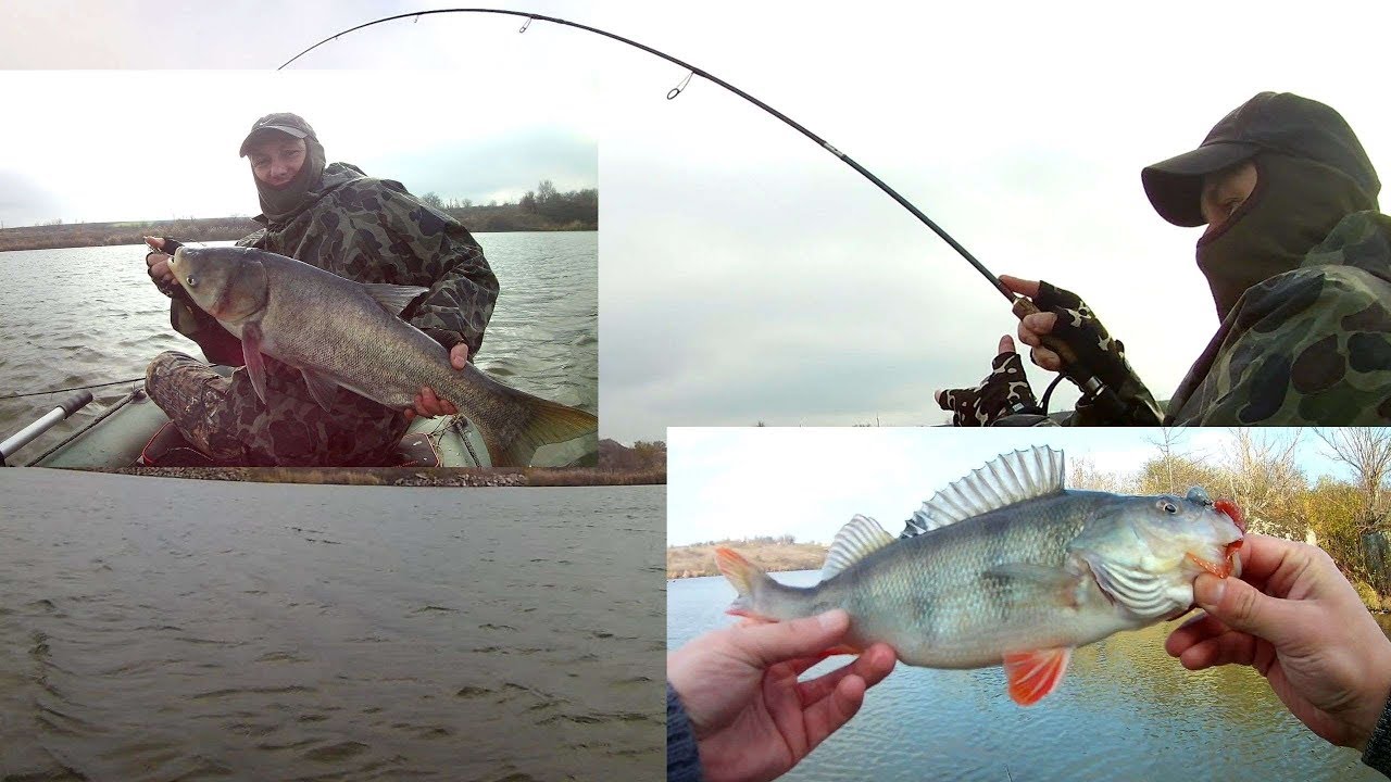 щука таранка. мелкая рыба на таранку. каменский рыболов. каменский район караси. каменское водохранилище лнр.