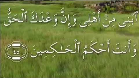 سورة هود صفحة  ٢٢٦ مكتوبة مكررة بصوت سعد الغامدي