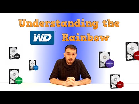 The Difference between WD Blue, Red, Green, Black and Purple Explained