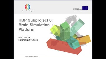 HBP Brain Simulation Platform, Use Case 8: Morphology synthesis pipeline