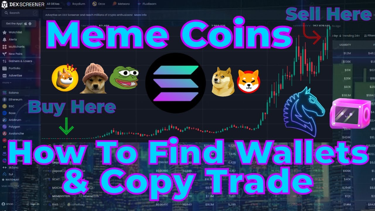 Solana Meme Coins | How To Find Profitable Wallets & Copy Trade | Trading  Bot Full Tutorial - YouTube