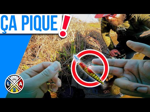 A fishing session that goes wrong!