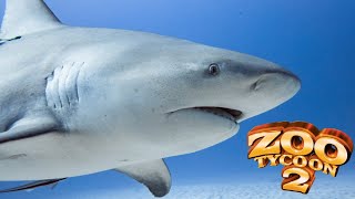 Bull Shark Exhibit Speed Build - Zoo Tycoon 2