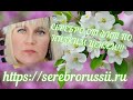 🌸СЕРЕБРО ОТ ФИТ ПО НИЗКИМ ЦЕНАМ!!! 🌸ОБЗОР И ПРОДАЖА ЮВЕЛИРНЫХ ИЗДЕЛИЙ!!!