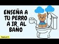 Como enseñarle a mi perro a ir al baño en días! - Tips by Natalia Ospina