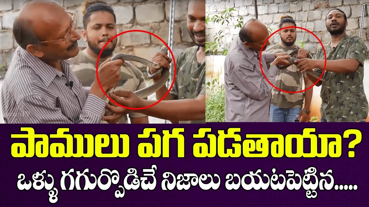 పాములు పగ పడతాయా ? పాములు గురుంచి మీకు తెలియని నిజాలు Science vs Mythology | Vignana Darshini Ramesh