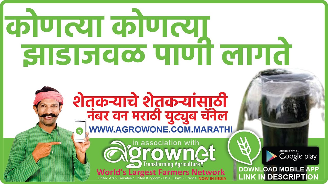 कोणत्या कोणत्या झाडाजवळ पाणी लागते jaminit pani kase shodhave