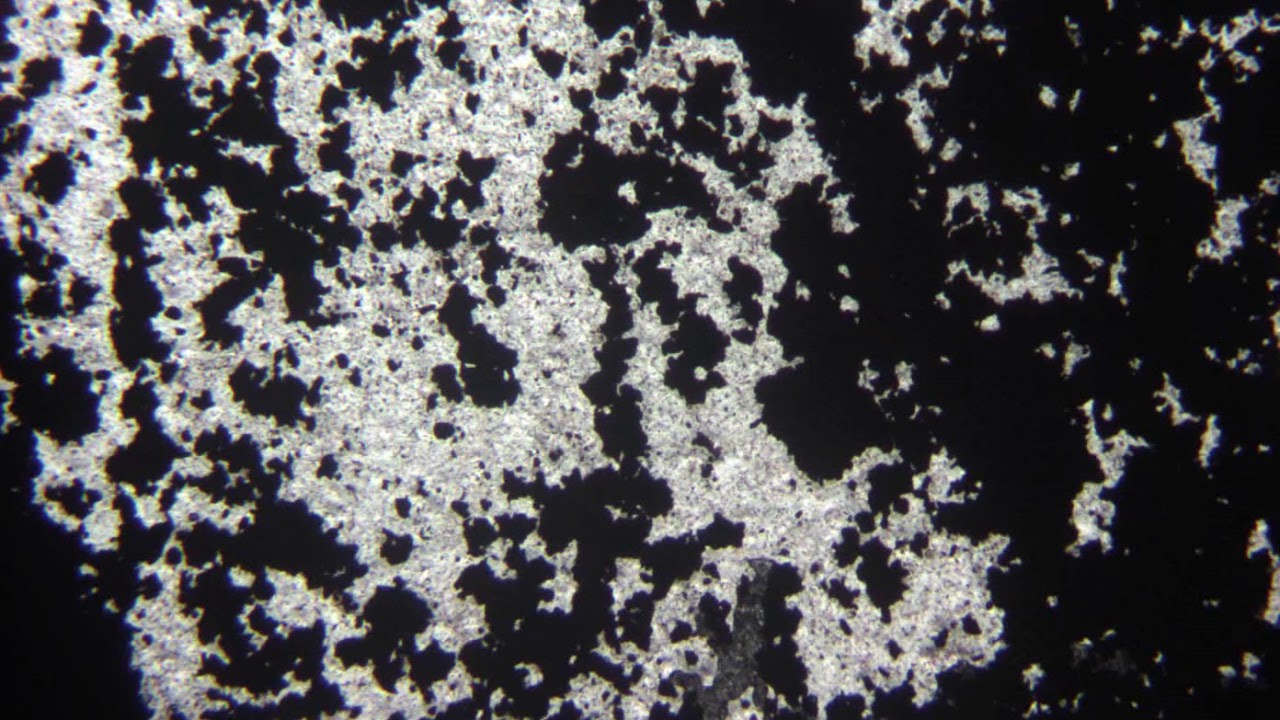 Minéraux opaques au microscope polarisant (LPNA) - YouTube