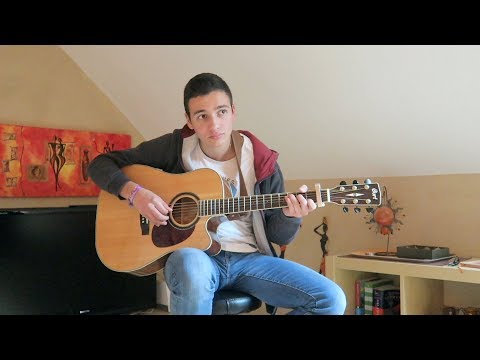 Mathis Poulin - Cover - Pierre Perret "La Bête Est Revenue"