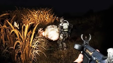 S.T.A.L.K.E.R. in a Nutshell