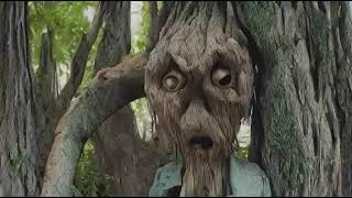 🌳🌄 Enchanted Odyssey: Unveiling the Rotten Tree Monster in Hyper-Realistic Splendor 🌌📸