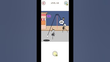 Thief Puzzle Level 228