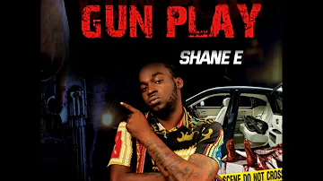 Shane E - Gun Play (Official Audio)