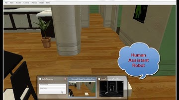 Human Robot Interaction (Simulation)