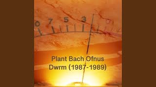 Download Lagu Rhaw Dyn Ola MP3