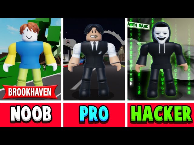 NOOB vs PRO vs HACKER (brookhaven rp) 