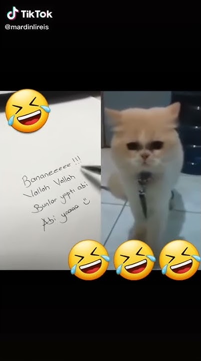 Bananeeee ( iyi sahurlar ) - YouTube