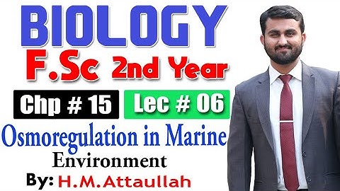 Osmoregulation in Marine Environment | Chapter 15 | 2nd year Biology | Lec. # 6
