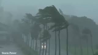 10 HOURS Rain Sounds for Sleeping | Chuva Forte para Acabar com a Insônia