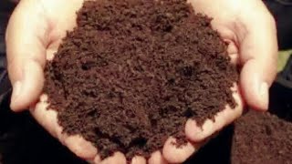 টবের গাছে সার দেয়ার নিয়ম// জৈব সার প্রয়োগ// Best organic fertilizer for plants