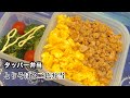 【野球部弁当】【部活飯】高校アスリートのガッツリタッパーで食べるとりそぼろ二色弁当【obento】