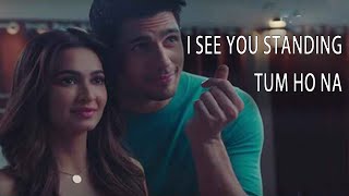 I See You Standing Tum Ho Na Slowed and Reverb