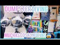 DUMPSTER DIVING/lo que tiran en la basura#15